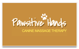 Pawsitive Hands