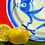 Lemon and Vietnamese Plate