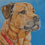 Dozer