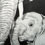 Elephant and Baby
