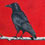 Crow