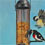 Birdfeeder