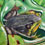 Frog on Lilypad
