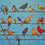 Lucindas Birds